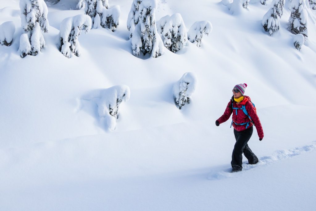 Snow Walker